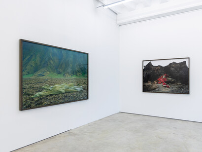 Riitta Päiväläinen, Phantasma, ausstellungsansicht. Mit freundlicher genehmigung von Persons Projects