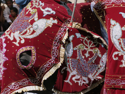 An elephant dressed for the Diyakapana Paegant in Sri Lanka © Gehan de Silva Wijeyeratne