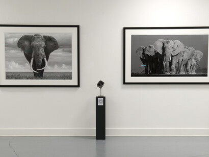 Lars Beusker and Giusy Rampini, Convergence, exhibition view. Courtesy of Miart Gallery