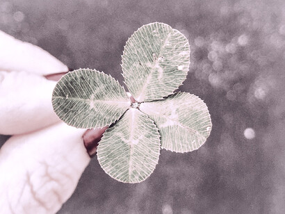 Activer la loi de l'attraction. Imaginez l’agencement des plantes et arbres, le type de fleurs et d’essence que vous aimeriez planter, le type d’herbe que vous aimeriez voir pousser 
