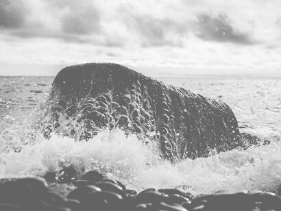 By 2050, up to 5.7 billion people could be living in areas where water is scarce for at least one month a year