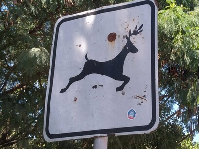 Placa adverte para a presença de animais com chifres na ciclovia do Rio Pinheiros em São Paulo, Brasil. Há umas duas décadas a cidade tem despertado para o problema da excessiva poluição dos seus rios e tem feito algum esforço de descontaminação, com tratamento de parte dos dejetos, limpeza, desassoreamento do rio e plantio de alguma mata ciliar, em conjunto com ações de conscientização das pessoas sobre a importância desses espaços