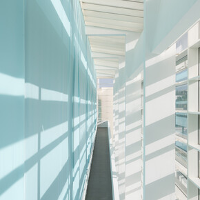 In the Open or in Stealth. Courtesy of Museu d’Art Contemporani de Barcelona (MACBA)