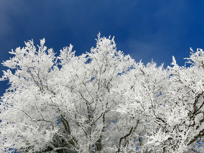 La neve