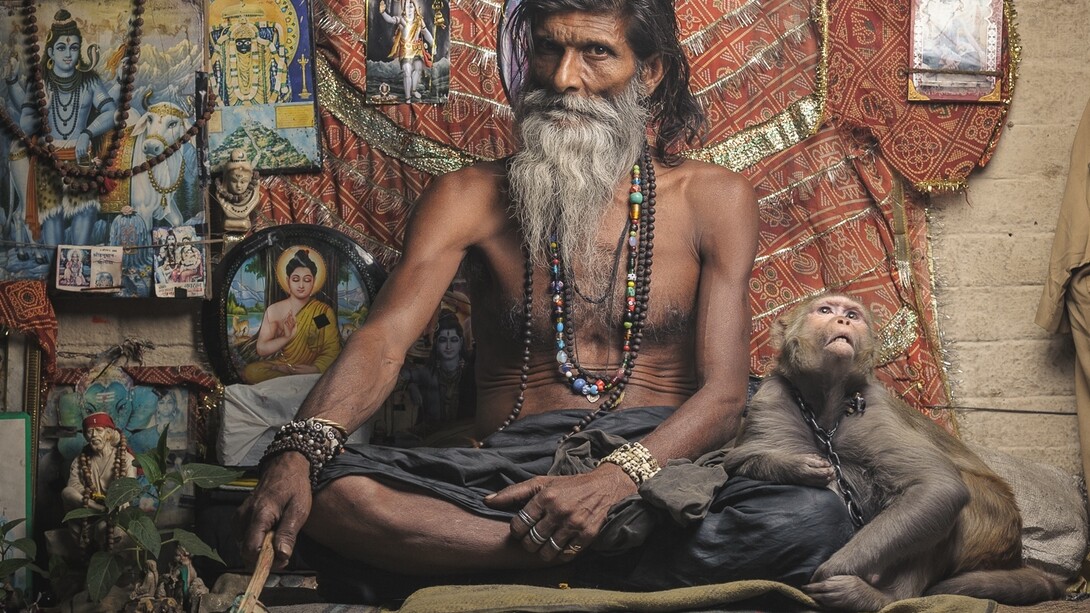 Hindú en el templo de los monos de Varanasi