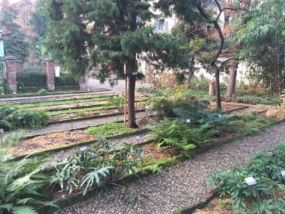 Brera, Orto botanico