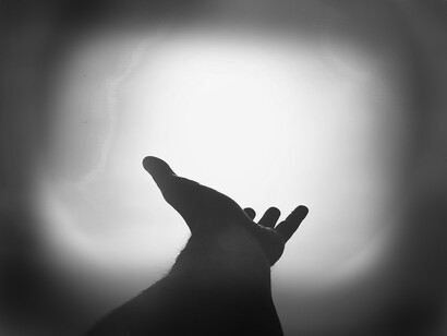 Reach out and touch the sun, nature