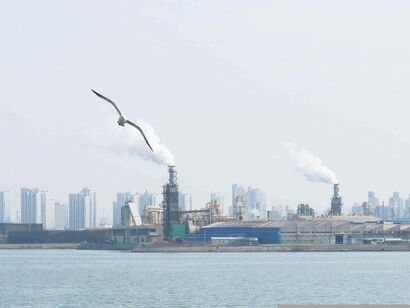 A seagull flying away from a gas-fired power plant in Europe