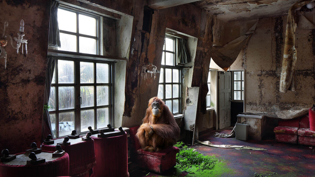 No Man's Land. Courtesy of Galerie Dumonteil