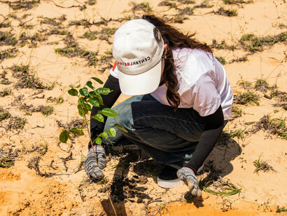 Valorizar o coletivo é essencial para uma sociedade mais fraterna. Pensar além do individualismo enriquece a convivência e promove a realização pessoal em um mundo menos isolado