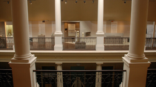 Ser y pertenecer. Courtesy of Museo de La Plata