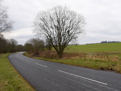 Andy Goldsworthy. Courtesy of Haines Gallery