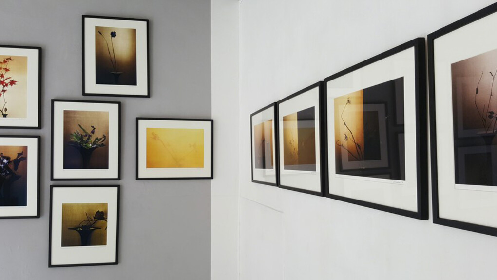 Éloge de l’ombre. Courtesy of Galerie Marie-Robin