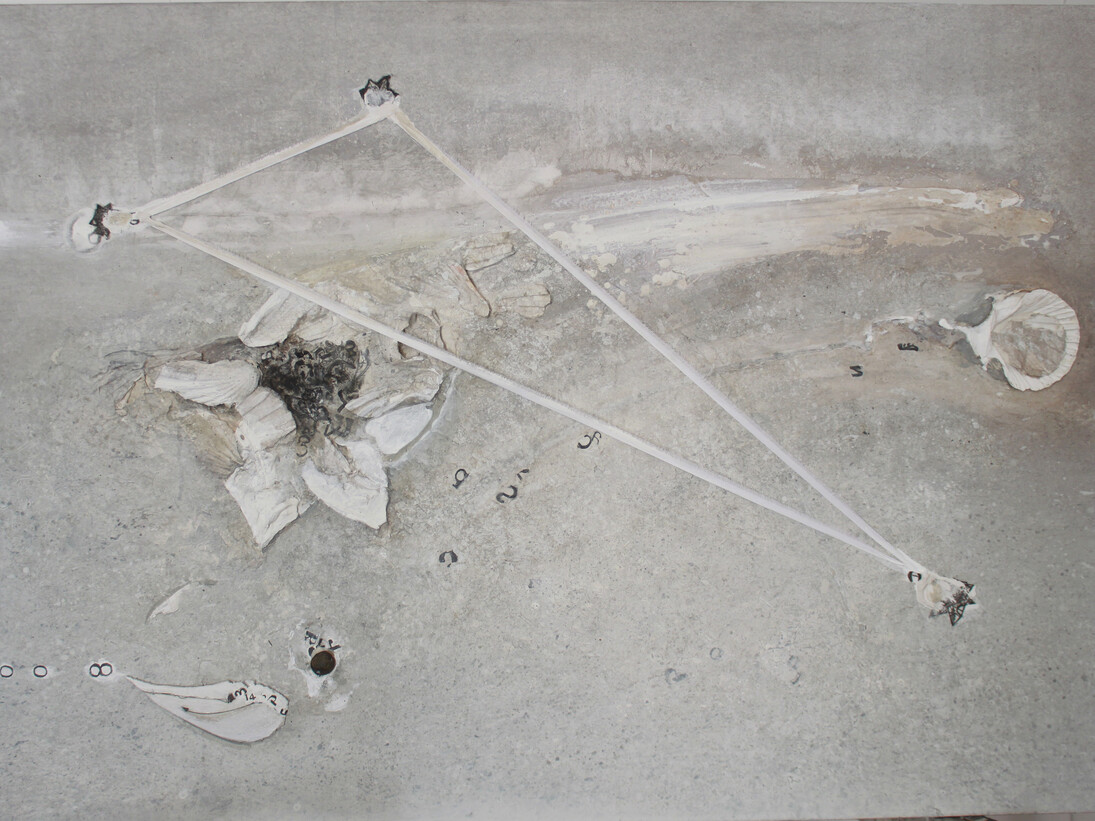 Gabriella Benedini, Tensioni, 2015, polimaterico, 90 x 141 cm
