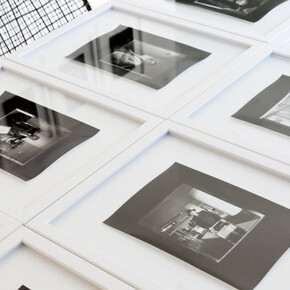 Arrival. Courtesy of Lisa Vollmer Photography Gallery