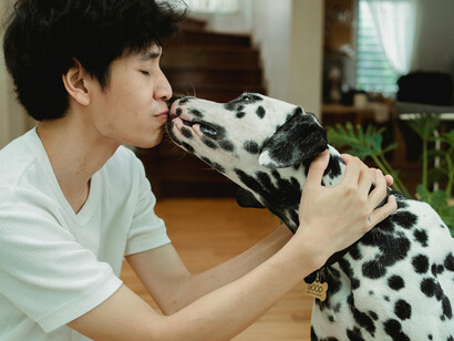 Amor entre tutor e pet. O amor não promove a guerra, ele se abstém