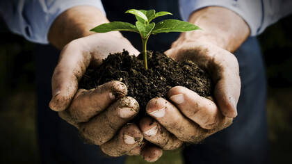 L’opinion commune est que les aliments sont un apport de matière 