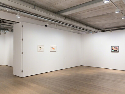 Tom Wesselmann. Courtesy of Almine Rech Gallery