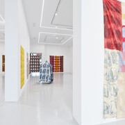 Claude Viallat, Sa forme a soixante ans, vue de l'exposition. Avec l'aimable autorisation de Ceysson et Bénétière