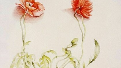 Mariella Busi, Two poppies (Watercolour)