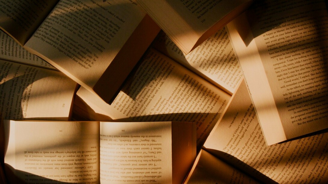 Mi scoprii un divoratore di libri