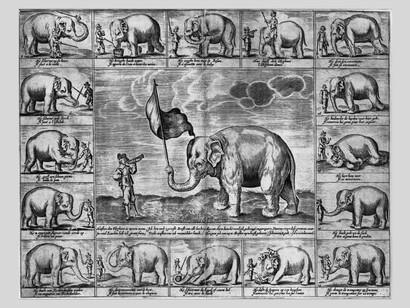 Anonimo incisore del XVII secolo, gli esercizi di Hansken