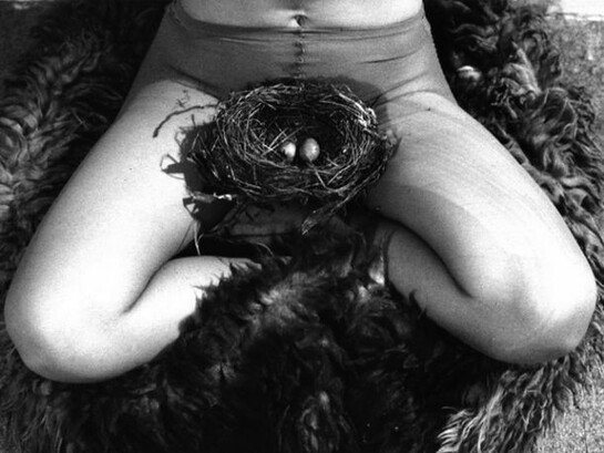Birgit Jürgenssen, Nest, 1979, Vintage black and white photograph, 17.8 x 24 cm / 7 1/8 x 9 1/2 ins, Copyright Estate Birgit Jürgenssen, Vienna, Courtesy Estate Birgit Jürgenssen, Vienna and Alison Jacques Gallery, London