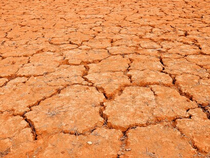 Desert