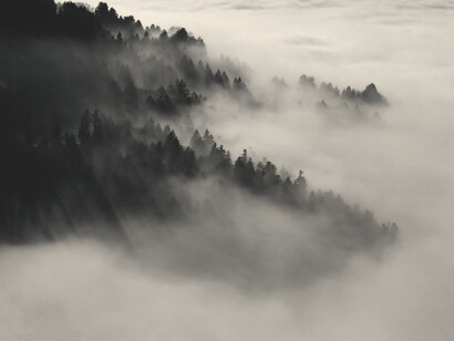 Previsioni meteo e fenomeni atmosferici, nebbia. Per lungo tempo le previsioni meteo sono state basate su un’osservazione qualitativa dei fenomeni, come la forma delle nuvole, il colore del cielo e il comportamento degli animali 