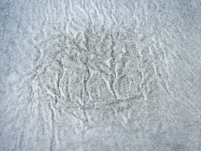 Sīmurg. Courtesy of Josée Bienvenu Gallery