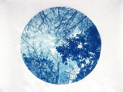 Mary Stuart Walker, Canopy #1, 2024. Courtesy of Spalding Nix Fine Art