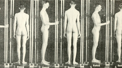 La constitución corporal y su herencia, 1923, Institución Carnegie de Washington, EEUU