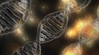 La historia de la genética empieza con el trabajo del monje agustino Gregor Mendel