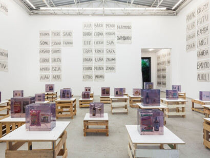 Installation View:
Paulo Nazareth,
Old Hope
,
Mendes Wood DM, São Paulo, 2017
.
Courtesy
the artist and Mendes Wood DM,
São Paulo
.