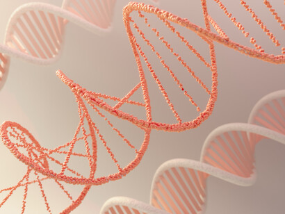 Rappresentazione in 3D del DNA: “gli atomi sono i “mattoni fondamentali” della materia. Combinandosi, formano molecole, cristalli, cellule e ogni altra struttura visibile nell’universo”