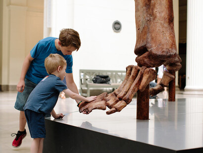 Máximo the Titanosaur. Courtesy of Field Museum