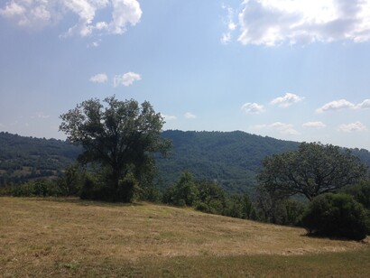 Prati e pascoli in Toscana