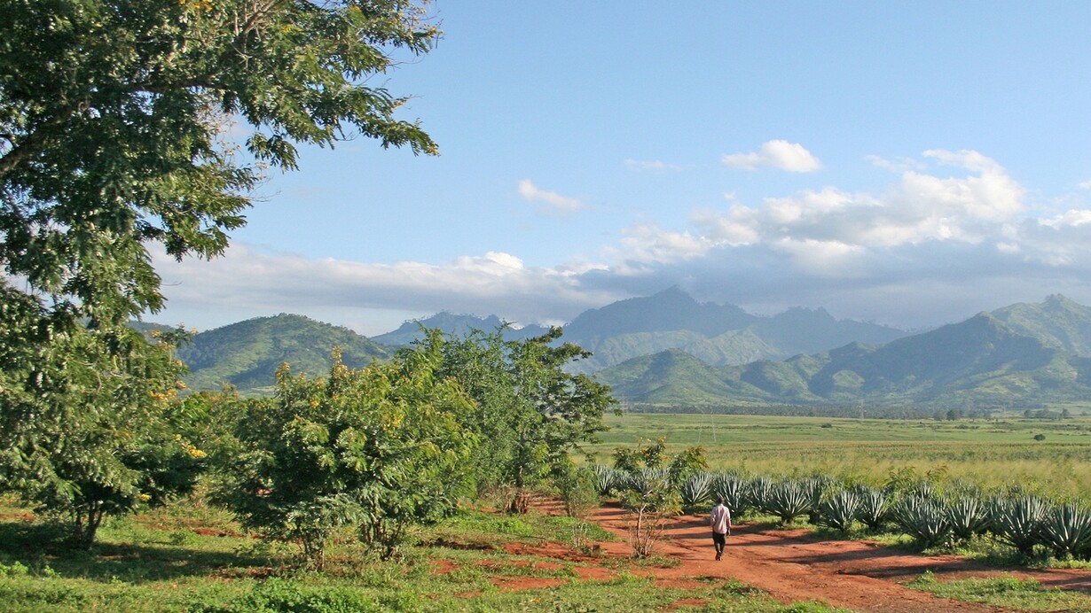 Morogoro, Tanzania