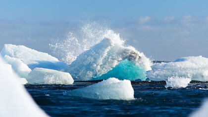 Global warming has changed our world