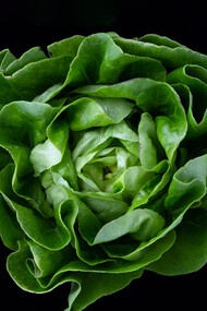 Eating more greens is an excellent way to detoxify your body