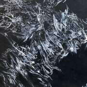 Jakob Dwight, Audible serpentine majesty, 2023. Courtesy of Maus Contemporary