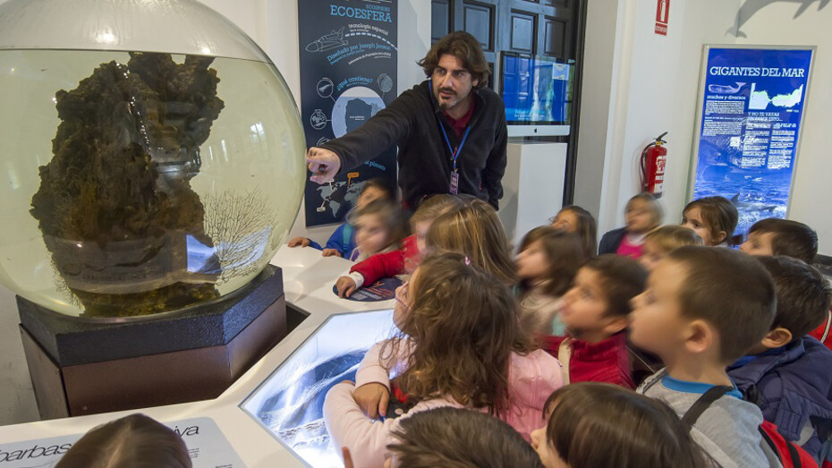 La mar de cetáceos en Andalucía. Courtesy of Casa de la Ciencia