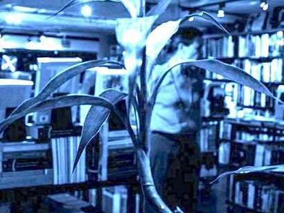 Instalaciones de Trasnocho Cultural