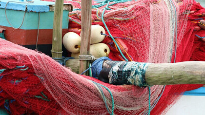 Marine life by Gehan de Silva Wijeyeratne
