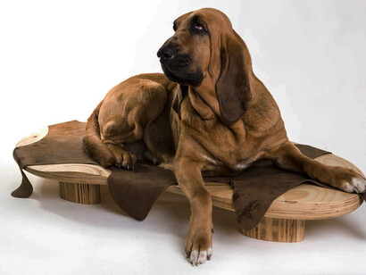 Animali - Rovere. Paul Croes & Inge Nelis. www.paulcroes.be