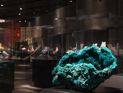 Hillman Hall of Minerals and Gems. Courtesy of Carnegie Museum of Natural History