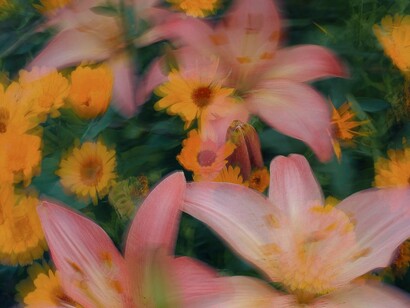 Viemos para esse mundo sem querer, acho, ninguém vivia em outro lugar e decidiu vir para cá assim do nada, um dia fomos duas partes que se uniram e deram origem a um novo ser, fomos desejados? Sim, claro! Mas nenhum de nós pediu para nascer, e já que nascemos e crescemos e pensamos e sonhamos, por que não realizarmos os sonhos, fazemos valer a graça que recebemos?