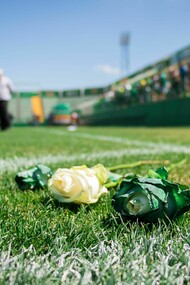 Rosas brancas e verdes em homenagem aos jogadores do Chapecoense na Arena Condá