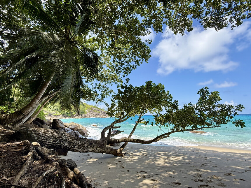 Seychelles revisited: a quiet shift in luxury