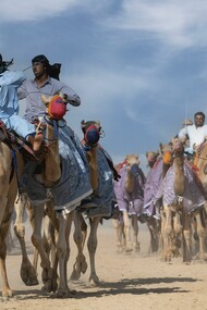 Fantasia, The Tbourida, a major component of Moroccan ancestral heritage